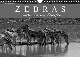 Kalender Zebras - Mehr als nur Streifen (Wandkalender 2022 DIN A4 quer) von Markus Pavlowsky Photography