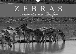 Kalender Zebras - Mehr als nur Streifen (Wandkalender 2022 DIN A3 quer) von Markus Pavlowsky Photography