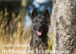 Kalender ausdrucksvolle Holländische Schäferhunde (Wandkalender 2022 DIN A3 quer) von Fotodesign Verena Scholze