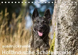 Kalender ausdrucksvolle Holländische Schäferhunde (Tischkalender 2022 DIN A5 quer) von Fotodesign Verena Scholze