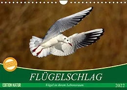 Kalender Flügelschlag - Vögel in ihrem natürlichen Lebensraum (Wandkalender 2022 DIN A4 quer) von Axel Kottal / Claudia Elsner