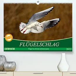 Kalender Flügelschlag - Vögel in ihrem natürlichen Lebensraum (Premium, hochwertiger DIN A2 Wandkalender 2022, Kunstdruck in Hochglanz) von Axel Kottal / Claudia Elsner