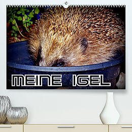Kalender Meine Igel (Premium, hochwertiger DIN A2 Wandkalender 2022, Kunstdruck in Hochglanz) von Henning von Löwis of Menar