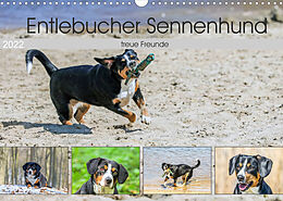 Kalender Entlebucher Sennenhund - treue Freunde (Wandkalender 2022 DIN A3 quer) von SchnelleWelten