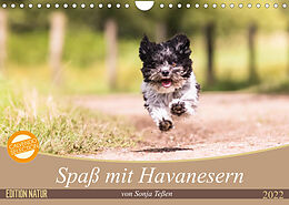 Kalender Spaß mit Havanesern (Wandkalender 2022 DIN A4 quer) von Sonja Teßen