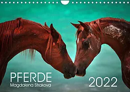 Kalender Pferde - Magdalena Strakova (Wandkalender 2022 DIN A4 quer) von Magdalena Strakova