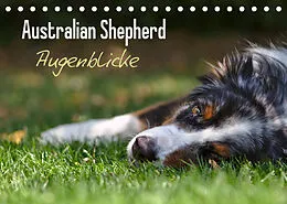 Kalender Australian Shepherd - Augenblicke (Tischkalender 2022 DIN A5 quer) von David Andrey