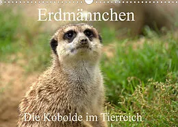 Kalender Erdmännchen - Die Kobolde im Tierreich (Wandkalender 2022 DIN A3 quer) von Arno Klatt