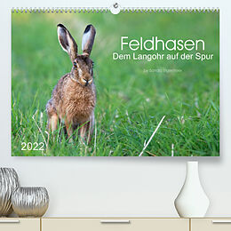 Kalender Feldhasen - dem Langohr auf der Spur (Premium, hochwertiger DIN A2 Wandkalender 2022, Kunstdruck in Hochglanz) von Sandra Eigenheer