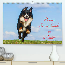 Kalender Berner Sennenhunde in Action (Premium, hochwertiger DIN A2 Wandkalender 2022, Kunstdruck in Hochglanz) von Sigrid Starick