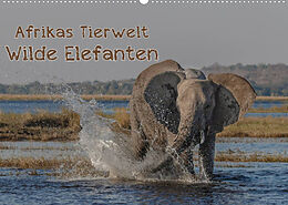 Kalender Afrikas Tierwelt - Wilde Elefanten (Wandkalender 2022 DIN A2 quer) von Michael Voß