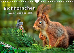 Kalender Eichhörnchen - immer wieder süß (Wandkalender 2022 DIN A4 quer) von Peter Roder