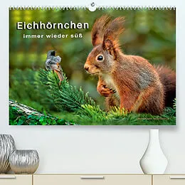 Kalender Eichhörnchen - immer wieder süß (Premium, hochwertiger DIN A2 Wandkalender 2022, Kunstdruck in Hochglanz) von Peter Roder