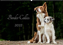 Kalender Border Collies 2022 (Wandkalender 2022 DIN A2 quer) von Christine Hemlep
