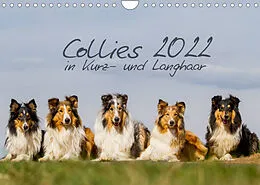 Kalender Collies 2022 in Kurz- und Langhaar (Wandkalender 2022 DIN A4 quer) von Christine Hemlep