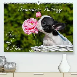 Kalender Französische Bulldogge - Clown auf 4 Pfoten (Premium, hochwertiger DIN A2 Wandkalender 2022, Kunstdruck in Hochglanz) von Sigrid Starick