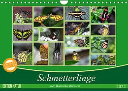 Kalender Schmetterlinge der Botanika Bremen (Wandkalender 2022 DIN A4 quer) von Burkhard Körner