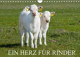 Kalender Ein Herz für Rinder (Wandkalender 2022 DIN A4 quer) von Sigrid Starick