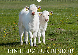 Kalender Ein Herz für Rinder (Wandkalender 2022 DIN A3 quer) von Sigrid Starick