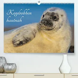 Kalender Kegelrobben hautnah (Premium, hochwertiger DIN A2 Wandkalender 2022, Kunstdruck in Hochglanz) von Sigrid Starick