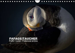 Kalender Papageitaucher: Puffin - Lundi - Fratercula arctica (Wandkalender 2022 DIN A4 quer) von Norman Preißler