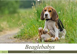 Kalender Beaglebabys auf Entdeckungstour (Wandkalender 2022 DIN A2 quer) von Sonja Teßen