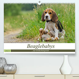 Kalender Beaglebabys auf Entdeckungstour (Premium, hochwertiger DIN A2 Wandkalender 2022, Kunstdruck in Hochglanz) von Sonja Teßen