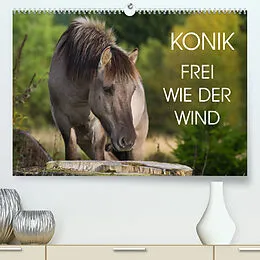 Kalender Konik - Frei geboren (Premium, hochwertiger DIN A2 Wandkalender 2022, Kunstdruck in Hochglanz) von Sigrid Starick