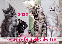 Kalender Katzen Persönlichkeiten 2022 (Wandkalender 2022 DIN A2 quer) von Patrick Rüberg