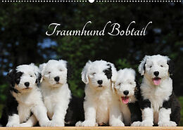 Kalender Traumhund Bobtail (Wandkalender 2022 DIN A2 quer) von Sigrid Starick