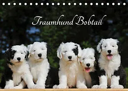 Kalender Traumhund Bobtail (Tischkalender 2022 DIN A5 quer) von Sigrid Starick