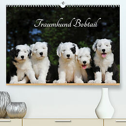 Kalender Traumhund Bobtail (Premium, hochwertiger DIN A2 Wandkalender 2022, Kunstdruck in Hochglanz) von Sigrid Starick