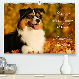 Kalender Bekannt wie ein bunter Hund. Australian Shepherd (Premium, hochwertiger DIN A2 Wandkalender 2022, Kunstdruck in Hochglanz) von Sigrid Starick