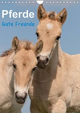 Kalender Pferde Gute Freunde (Wandkalender 2022 DIN A4 hoch) von Meike Bölts