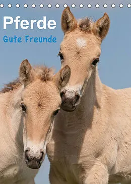 Kalender Pferde Gute Freunde (Tischkalender 2022 DIN A5 hoch) von Meike Bölts