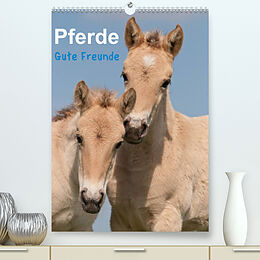 Kalender Pferde Gute Freunde (Premium, hochwertiger DIN A2 Wandkalender 2022, Kunstdruck in Hochglanz) von Meike Bölts