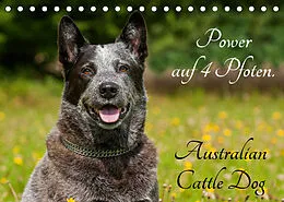 Kalender Power auf 4 Pfoten. Australian Cattle Dog (Tischkalender 2022 DIN A5 quer) von Sigrid Starick