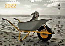 Kalender Bolonka 2022 (Wandkalender 2022 DIN A4 quer) von C. Winnen