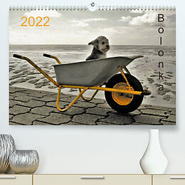 Kalender Bolonka 2022 (Premium, hochwertiger DIN A2 Wandkalender 2022, Kunstdruck in Hochglanz) von C. Winnen