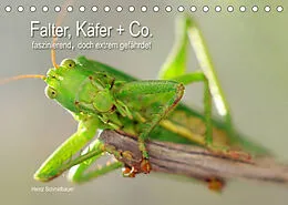Kalender Falter, Käfer und Co.faszinierend, doch extrem gefährdet (Tischkalender 2022 DIN A5 quer) von Heinz Schmidbauer
