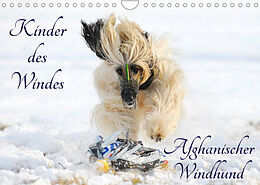 Kalender Kinder des Windes - Afghanischer Windhund (Wandkalender 2022 DIN A4 quer) von Sigrid Starick
