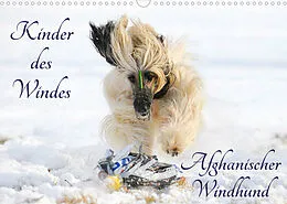 Kalender Kinder des Windes - Afghanischer Windhund (Wandkalender 2022 DIN A3 quer) von Sigrid Starick