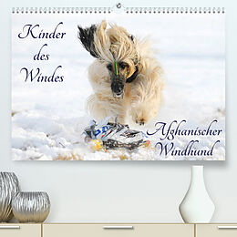 Kalender Kinder des Windes - Afghanischer Windhund (Premium, hochwertiger DIN A2 Wandkalender 2022, Kunstdruck in Hochglanz) von Sigrid Starick