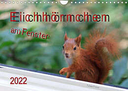 Kalender Eichhörnchen am Fenster (Wandkalender 2022 DIN A4 quer) von Tobias Freise