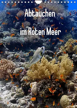 Kalender Abtauchen im Roten Meer (Wandkalender 2022 DIN A4 hoch) von Lars Eberschulz
