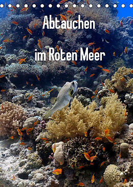Kalender Abtauchen im Roten Meer (Tischkalender 2022 DIN A5 hoch) von Lars Eberschulz