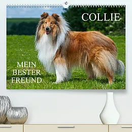 Kalender Collie - Mein bester Freund (Premium, hochwertiger DIN A2 Wandkalender 2022, Kunstdruck in Hochglanz) von Sigrid Starick
