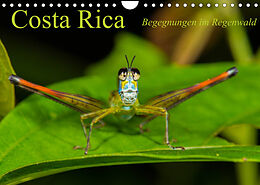 Kalender Costa Rica Begegnungen im Regenwald (Wandkalender 2022 DIN A4 quer) von Alex Ribi