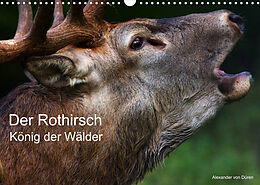 Kalender Der Rothirsch, König der Wälder (Wandkalender 2022 DIN A3 quer) von Alexander von Düren