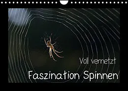 Kalender Voll vernetzt - Faszination Spinnen (Wandkalender 2022 DIN A4 quer) von Sigrid Enkemeier